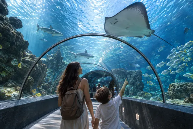 Художественная иллюстрация: Океанариум Underwater World Pattaya